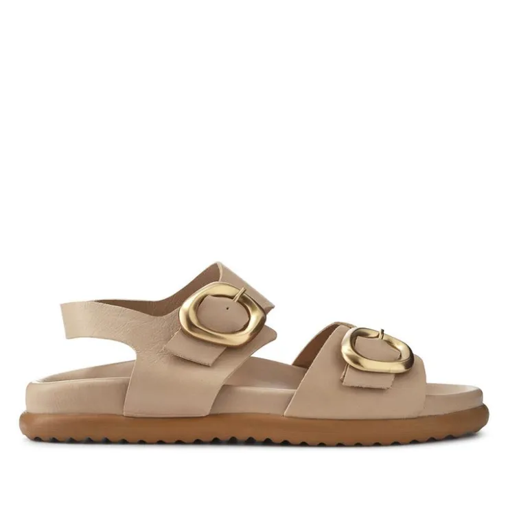 Women Jones Bootmaker Juneau Buckled Sandals -